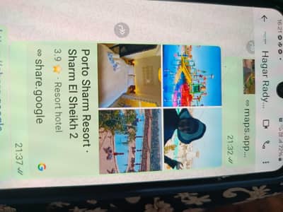 1 Bedroom Chalet for Sale in Ain Sukhna, Suez - شاليه تايم شير للبيع فى بورتو عامر العين السخنه شهر فى الالسنه مدي ال 1 Bedroom Chalet for Sale in Ain Sukhna, Suez - شاليه تايم شير للبيع فى بورتو عامر العين السخنه شهر فى الالسنه مدي ال