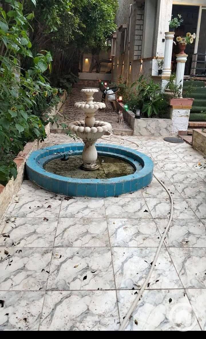 2 1000235267. jpg