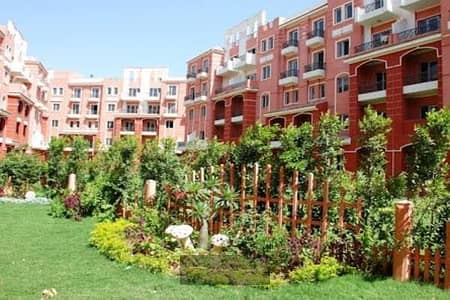 فلیٹ 2 غرفة نوم للايجار في الشيخ زايد، الجيزة - images. jpg فلیٹ 2 غرفة نوم للايجار في الشيخ زايد، الجيزة - images. jpg