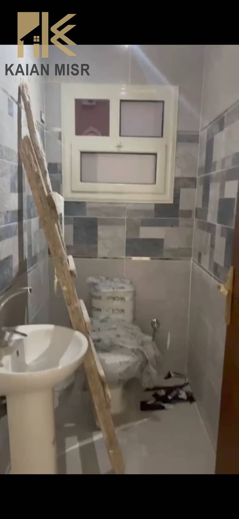6 10761. jpg