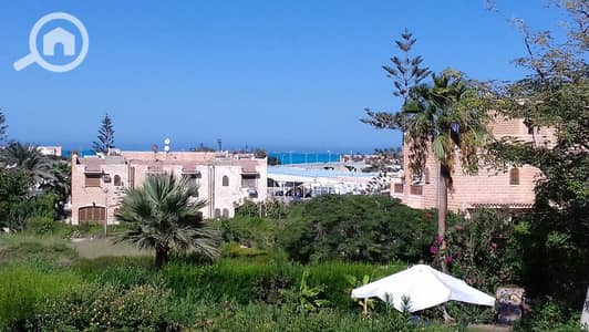 شاليه 2 غرفة نوم للبيع في الساحل الشمالي، مطروح - 6711. jpg شاليه 2 غرفة نوم للبيع في الساحل الشمالي، مطروح - 6711. jpg