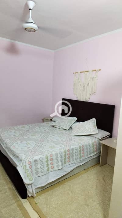 3 Bedroom Apartment for Rent in Nasr City, Cairo - 557970. jpg 3 Bedroom Apartment for Rent in Nasr City, Cairo - 557970. jpg
