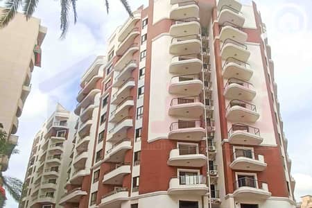 3 Bedroom Apartment for Sale in Maamoura, Alexandria - WhatsApp Image 2026-09-07 at 3.31. 57 PM (1). jpg
