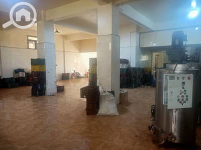 مصنع  للايجار في مدينة بدر، القاهرة - 1000311009. jpg