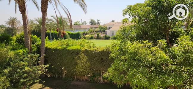 3 Bedroom Villa for Sale in Sheikh Zayed, Giza - 1000474837. jpg 3 Bedroom Villa for Sale in Sheikh Zayed, Giza - 1000474837. jpg
