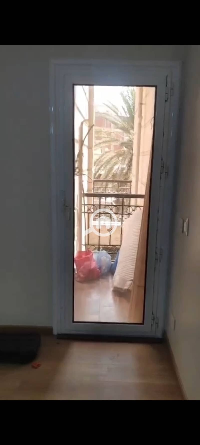 3 1000373497. jpg