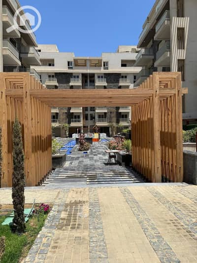 3 Bedroom Apartment for Rent in New Cairo, Cairo - 1000173040. jpg 3 Bedroom Apartment for Rent in New Cairo, Cairo - 1000173040. jpg