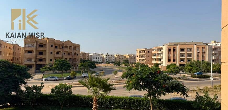 5 10138. jpg
