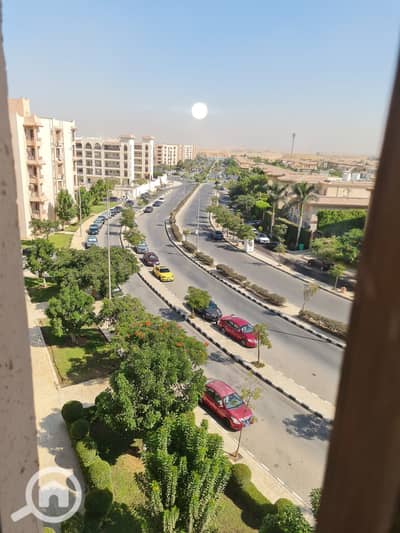 شقة 4 غرف نوم للبيع في القاهرة الجديدة، القاهرة - WhatsApp Image 2025-05-19 at 7.38. 52 AM (2). jpeg شقة 4 غرف نوم للبيع في القاهرة الجديدة، القاهرة - WhatsApp Image 2025-05-19 at 7.38. 52 AM (2). jpeg