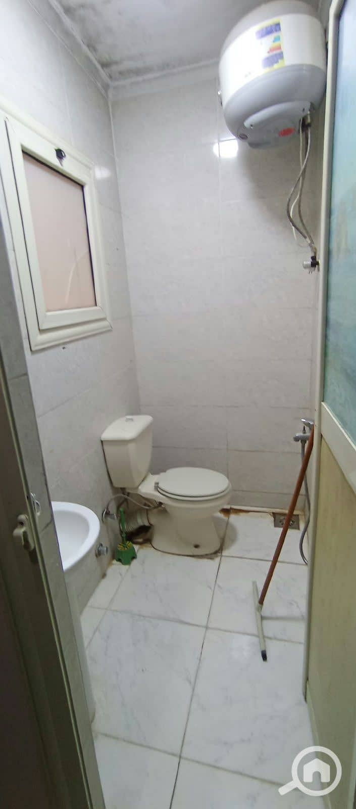 4 146736. jpg
