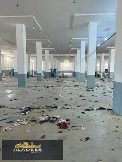 Factory for Rent in 10th of Ramadan, Sharqia - WhatsApp Image 2026-09-10 at 4.56. 36 PM (2). jpeg