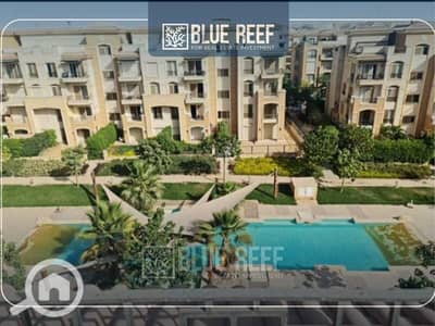 4 Bedroom Apartment for Sale in Katameya, Cairo - WhatsApp Image 2026-09-10 at 4.56. 50 PM. jpeg