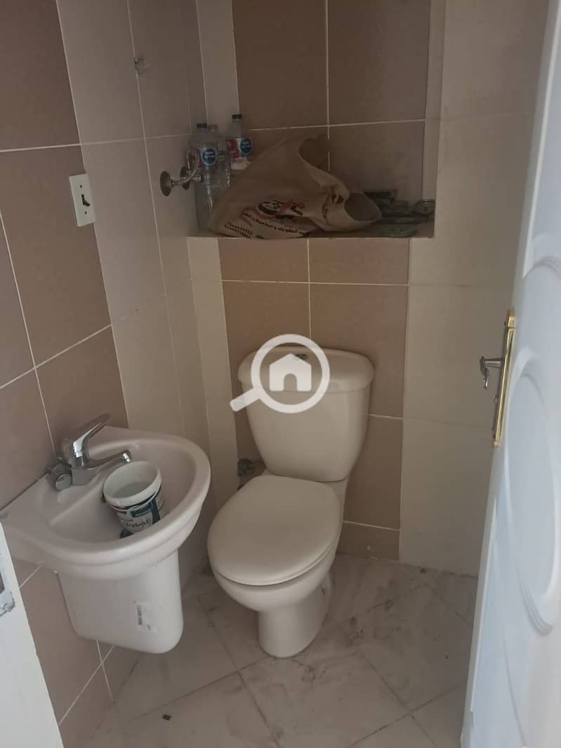 6 454367. jpg