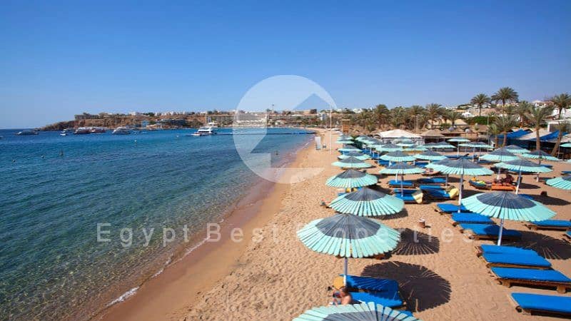 14 Red-sea-and-beach-at-ghazala-beach-hotel-in-sharm-el-sheikh. jpg