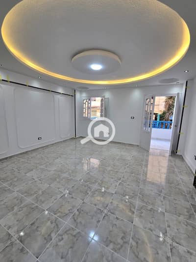 2 Bedroom Flat for Sale in Nakheel, Alexandria - 0b08d6ca-9b99-4d94-811c-f078c1bfeaef. jpg