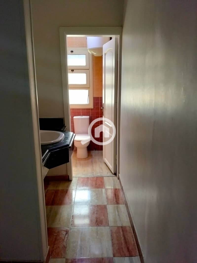 8 146653. jpg