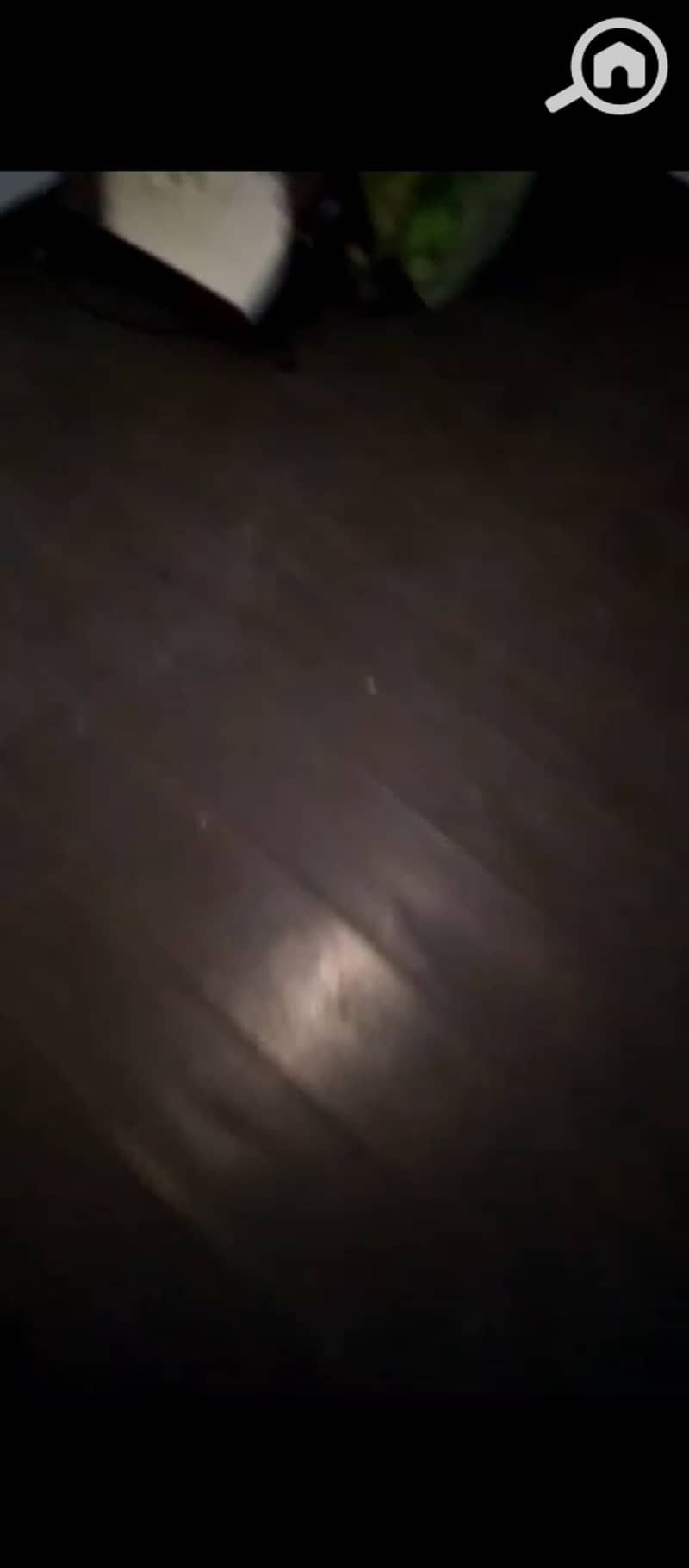 7 1001055388. jpg