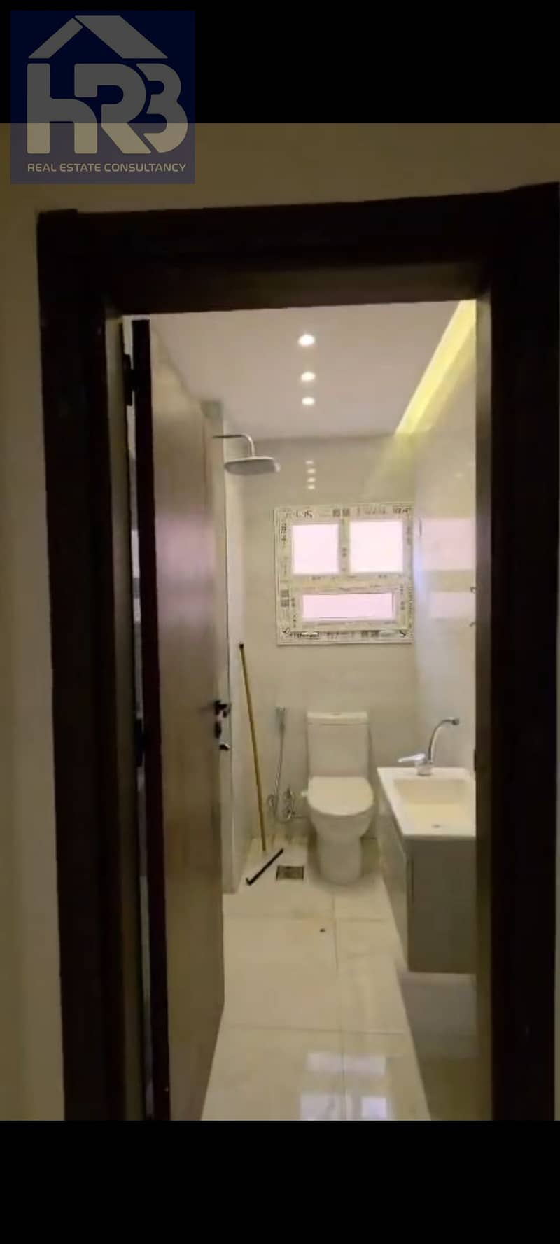 5 113216. png