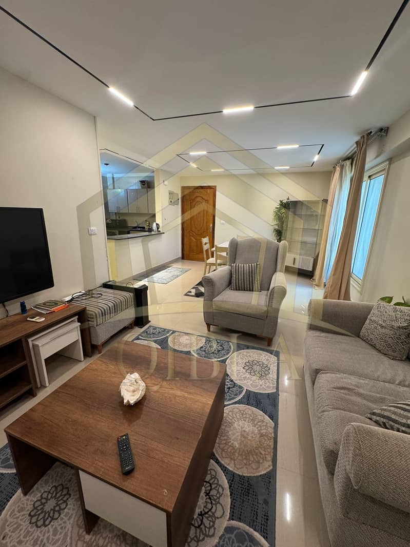 3 2-bedroom-furnished-flat-sheikh-zayed. jpg. jpeg