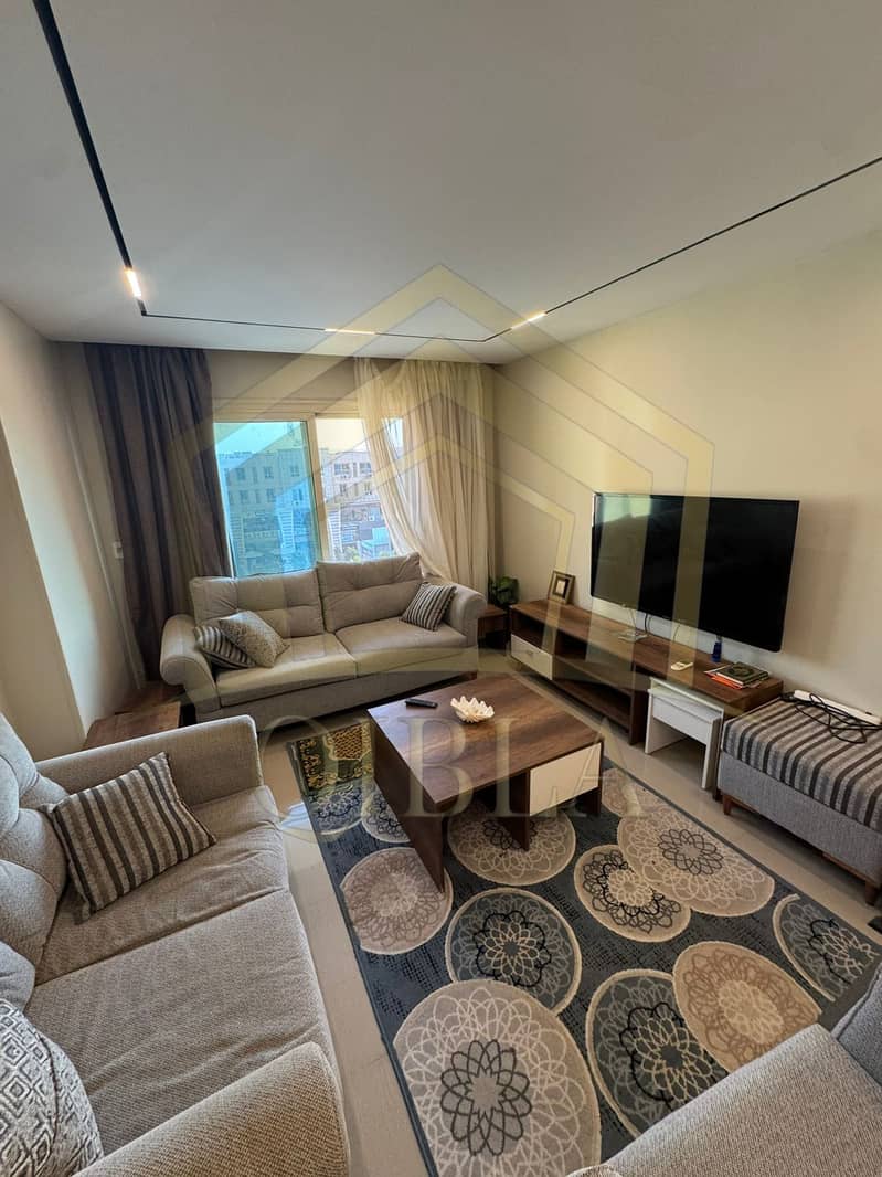 4 beverly-hills-sheikh-zayed-apartment-with-appliances. jpg. jpeg