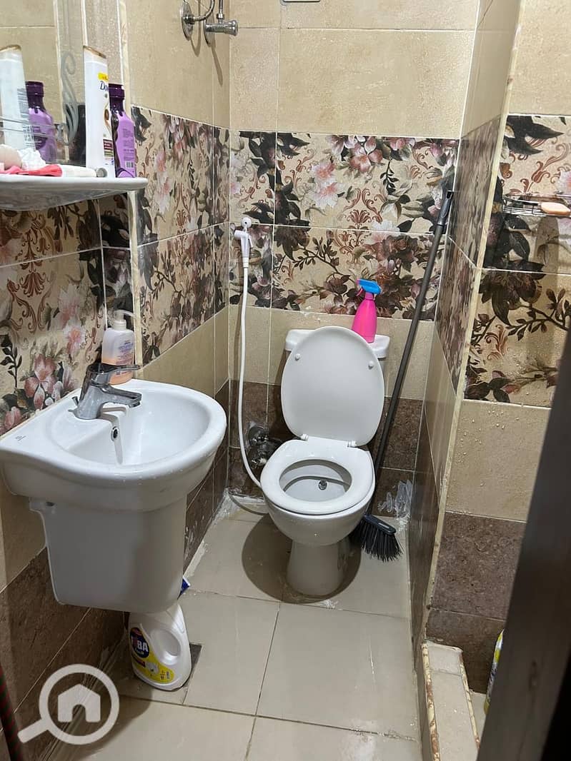 4 43817. jpg