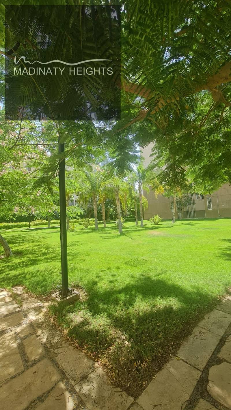 4 119169. jpg