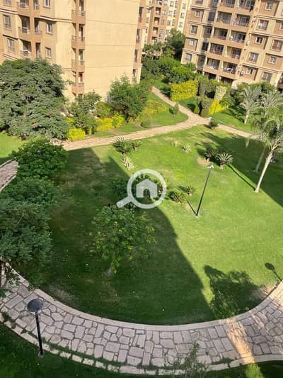 3 Bedroom Flat for Rent in Madinaty, Cairo - 1000588787. jpg 3 Bedroom Flat for Rent in Madinaty, Cairo - 1000588787. jpg