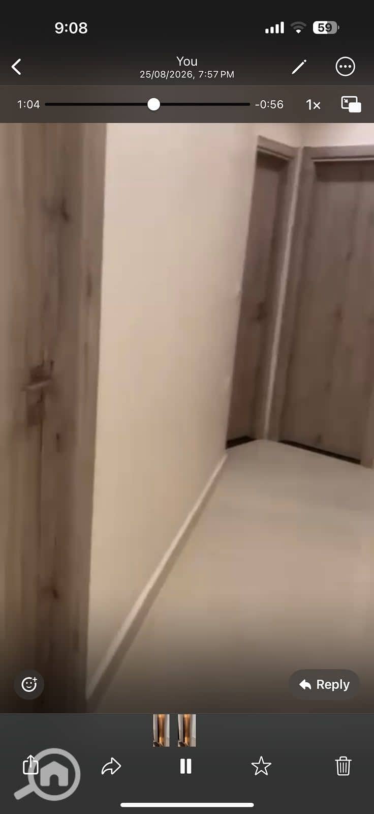 6 146997. jpg