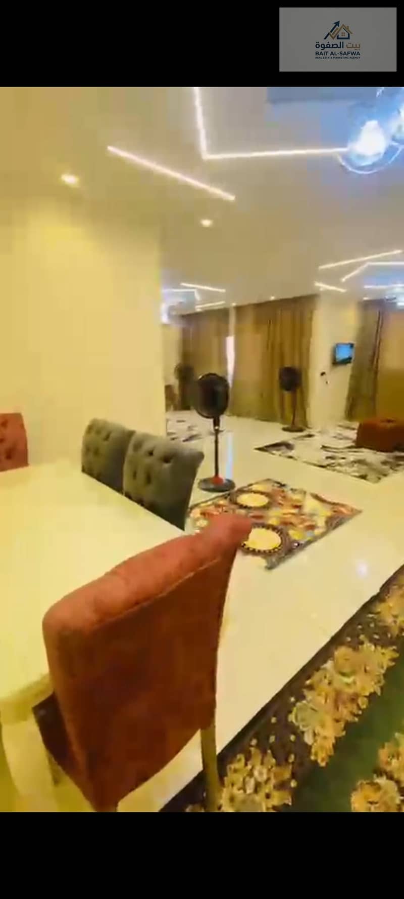 3 159585. jpg