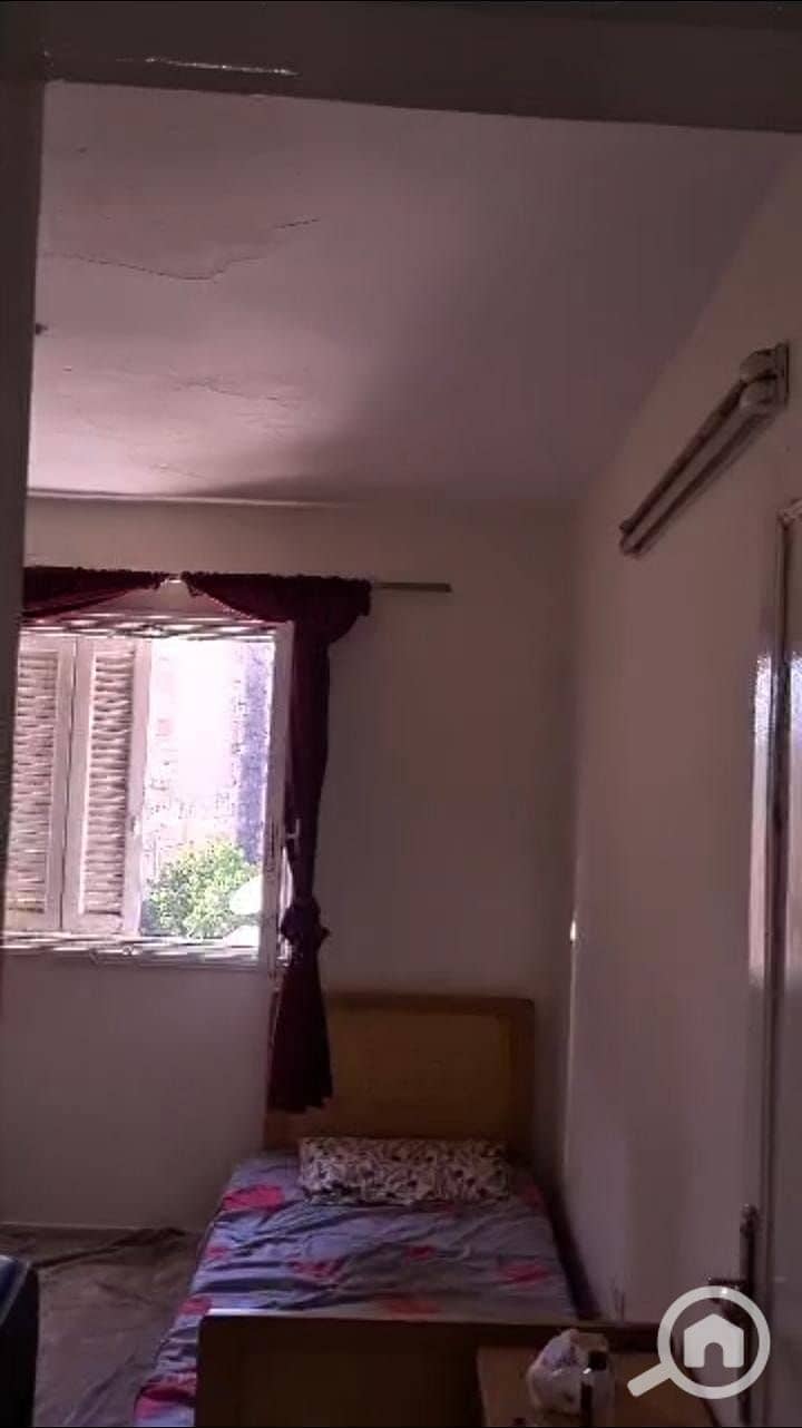 3 58486. jpg