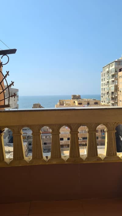 3 Bedroom Apartment for Rent in Sporting, Alexandria - شقة للايجار سبورتنج شارع الاقصر 3 Bedroom Apartment for Rent in Sporting, Alexandria - شقة للايجار سبورتنج شارع الاقصر