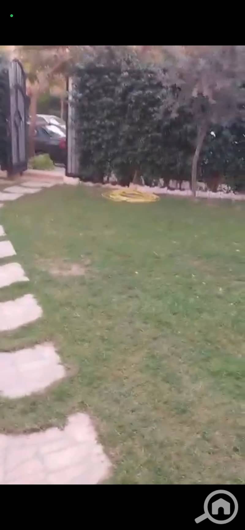 5 972813. jpg