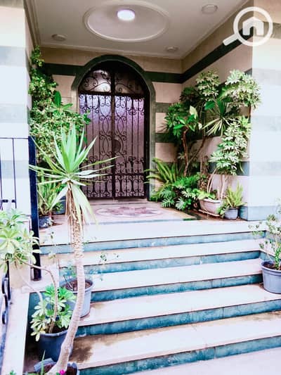 3 Bedroom Flat for Rent in New Cairo, Cairo - WhatsApp Image 2026-09-10 at 09.07. 42 (4). jpeg 3 Bedroom Flat for Rent in New Cairo, Cairo - WhatsApp Image 2026-09-10 at 09.07. 42 (4). jpeg