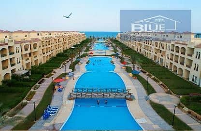 4 d6766654-396d-44b2-9c7a-7e0313deeb6f. jpg