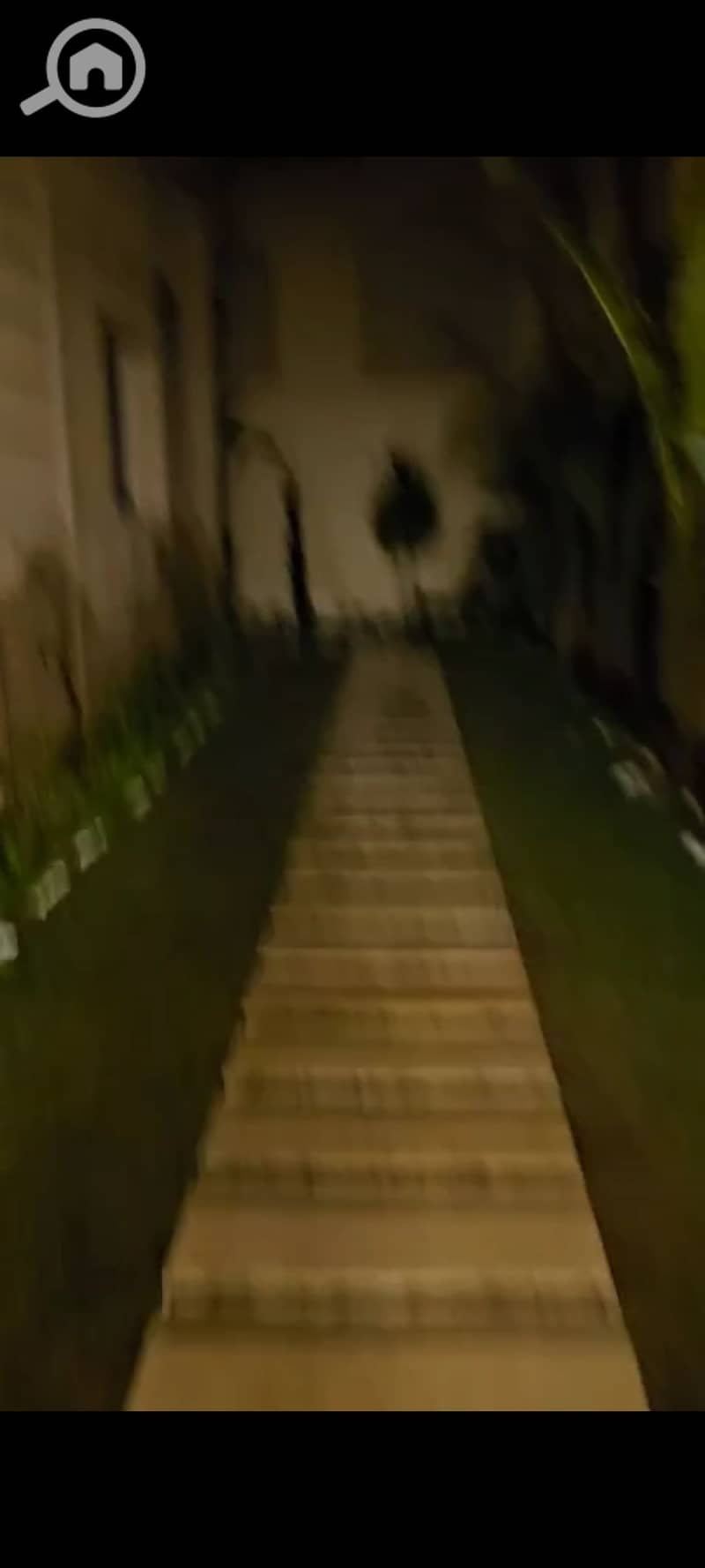 6 1001255371. jpg