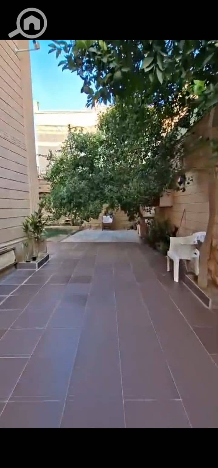 8 1000391085. jpg
