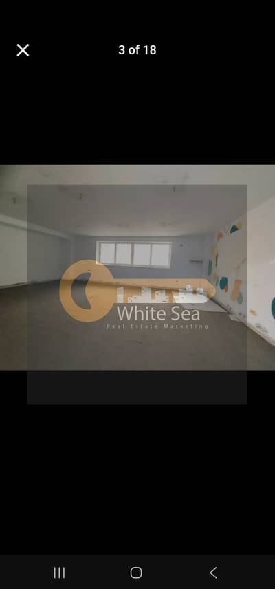 Office for Rent in Saba Pasha, Alexandria - 1001228307. jpg