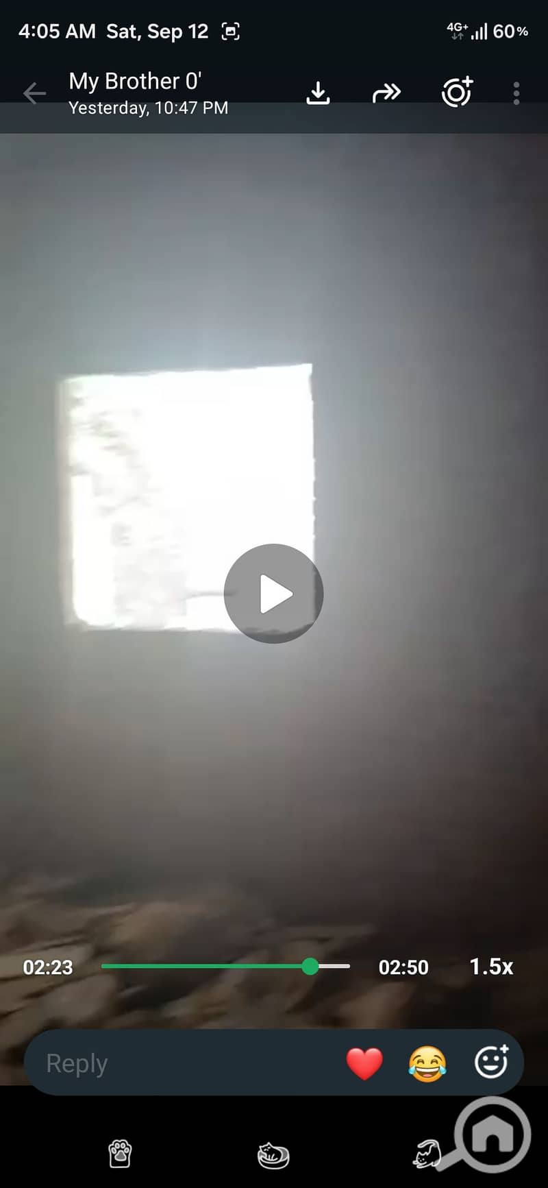 9 150279. jpg