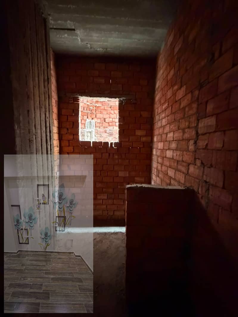 10 1001959523. jpg