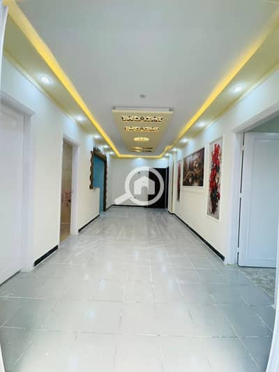 شقة 2 غرفة نوم للبيع في النخيل، الإسكندرية - 1001101834. jpg شقة 2 غرفة نوم للبيع في النخيل، الإسكندرية - 1001101834. jpg