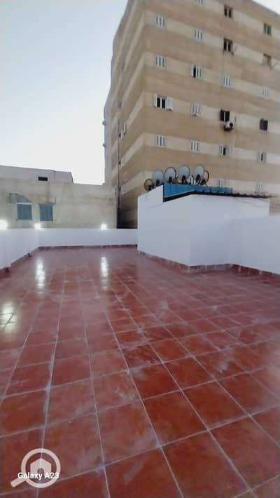 دوبلكس 2 غرفة نوم للبيع في النخيل، الإسكندرية - 1001104240. jpg دوبلكس 2 غرفة نوم للبيع في النخيل، الإسكندرية - 1001104240. jpg
