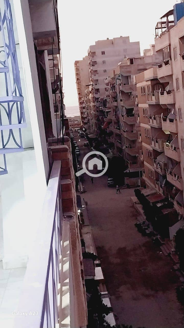 8 1001104238. jpg