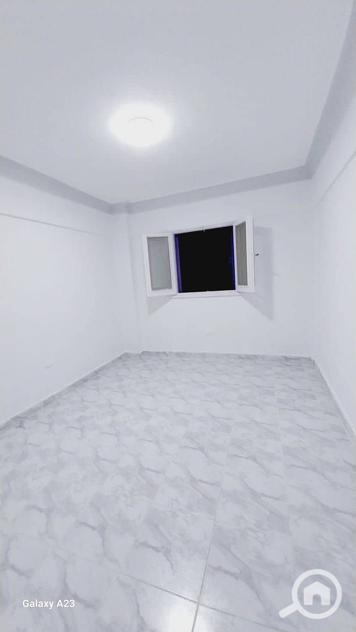5 1001104226. jpg
