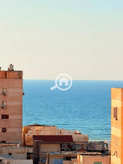 دوبلكس 4 غرف نوم للبيع في النخيل، الإسكندرية - 1001104358. jpg دوبلكس 4 غرف نوم للبيع في النخيل، الإسكندرية - 1001104358. jpg