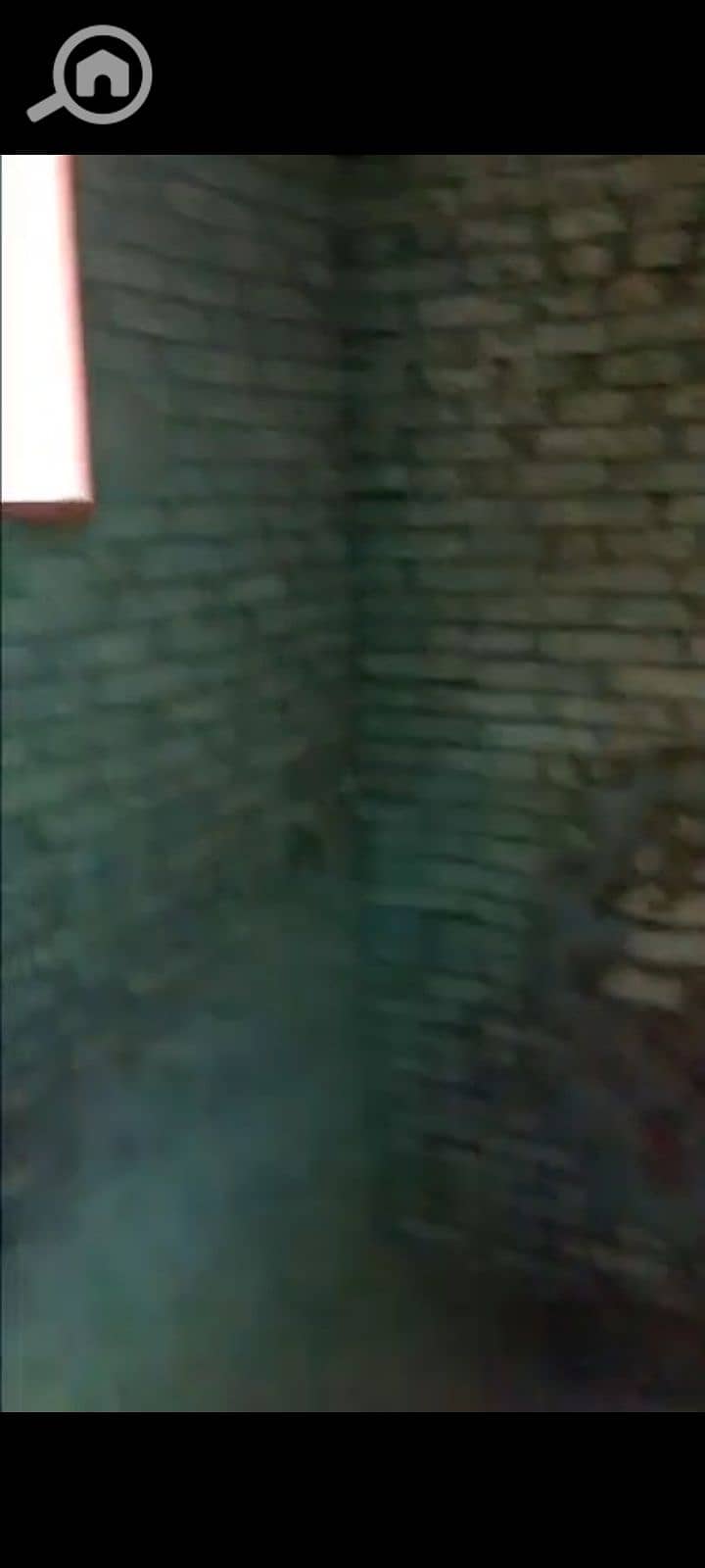 3 142638. jpg