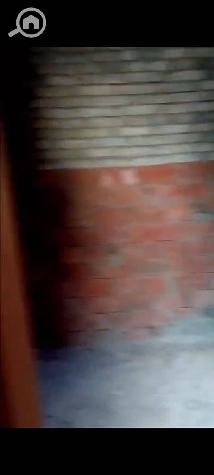 4 142634. jpg
