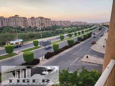 فلیٹ 2 غرفة نوم للايجار في مدينتي، القاهرة - 89391. jpg فلیٹ 2 غرفة نوم للايجار في مدينتي، القاهرة - 89391. jpg