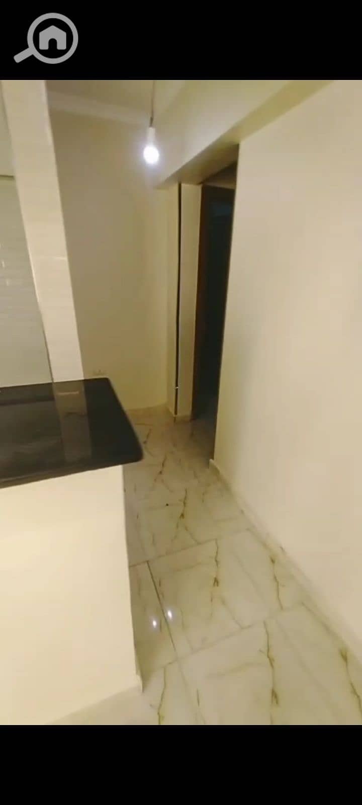 7 1001259383. png