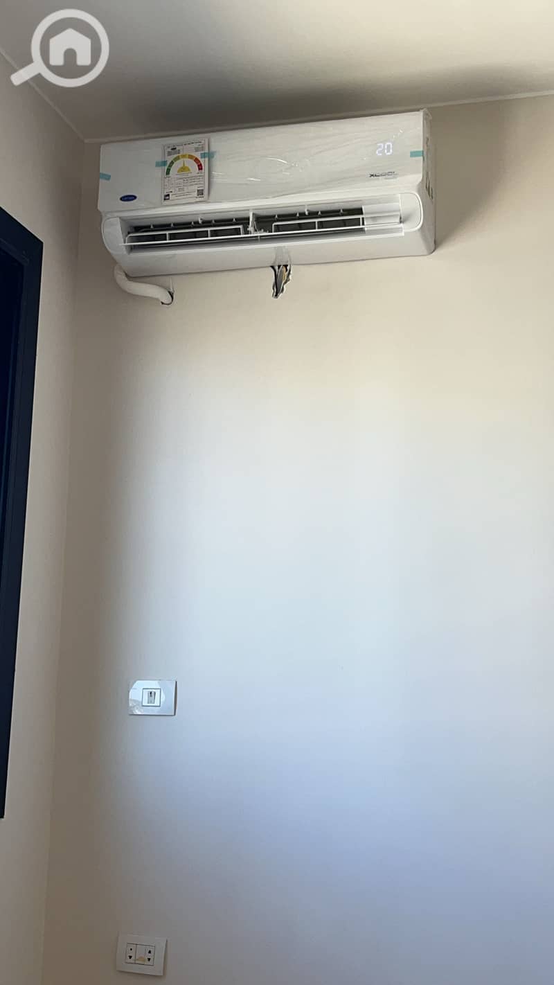 6 435559. jpg