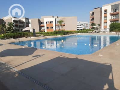 3 Bedroom Apartment for Sale in Sheikh Zayed, Giza - WhatsApp Image 2025-01-30 at 2.44. 59 PM_800x600. jpg 3 Bedroom Apartment for Sale in Sheikh Zayed, Giza - WhatsApp Image 2025-01-30 at 2.44. 59 PM_800x600. jpg